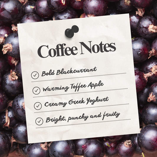 PRS Premium Blend | 100% Single Origin Colombian